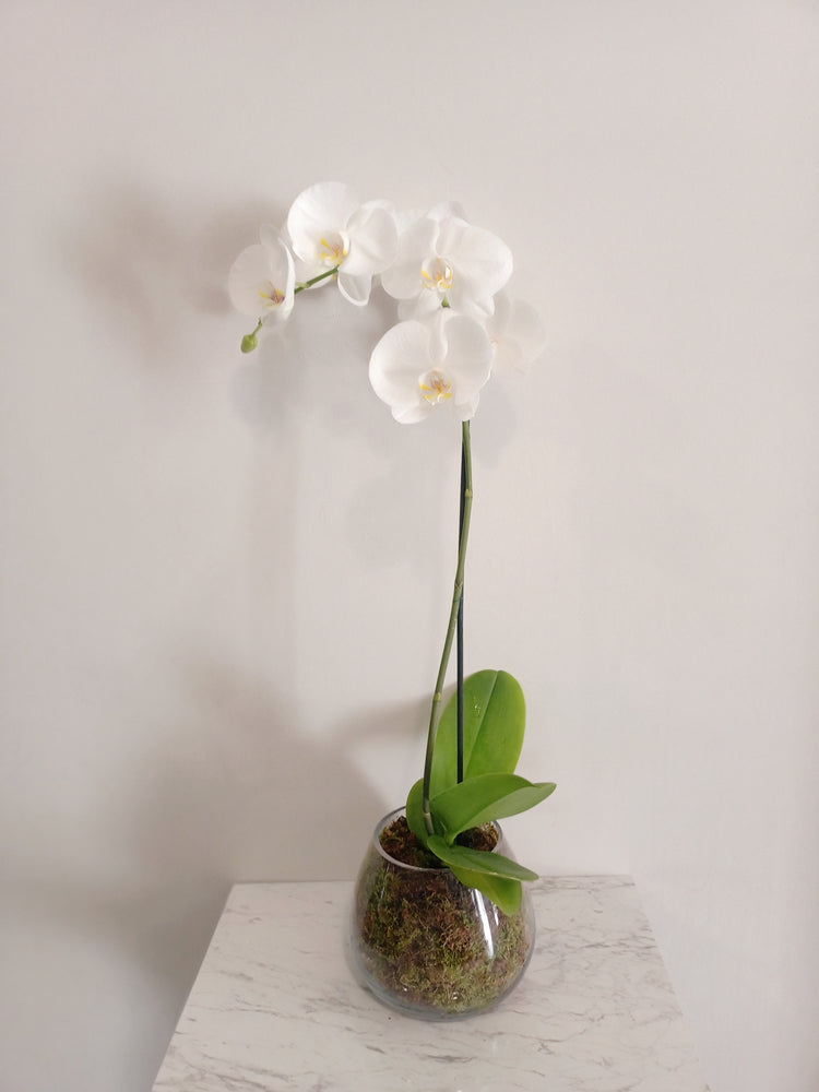 Orchid Glass Bowl