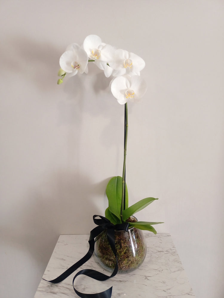 Orchid Glass Bowl