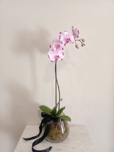 Pink Orchid Glass Bowl