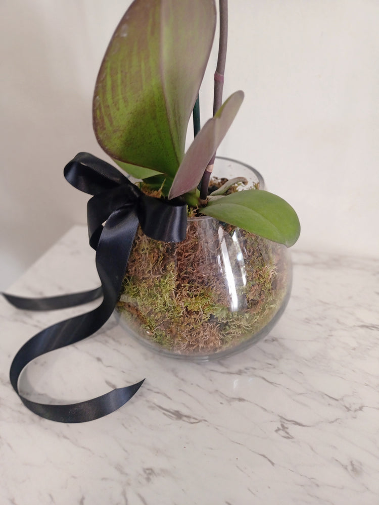 Orchid Glass Bowl