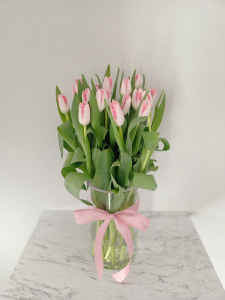 Splendid Tulips