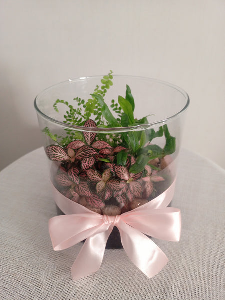 Terrarium