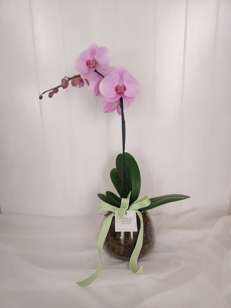 Pink Orchid Glass Bowl
