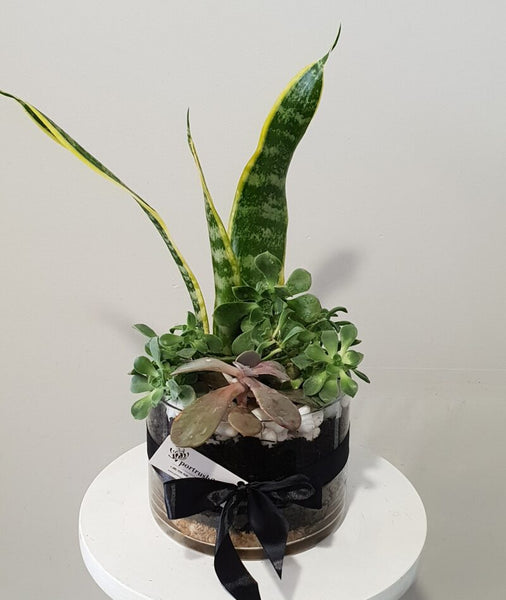 Terrarium Vase